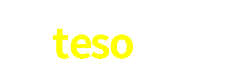 teso88